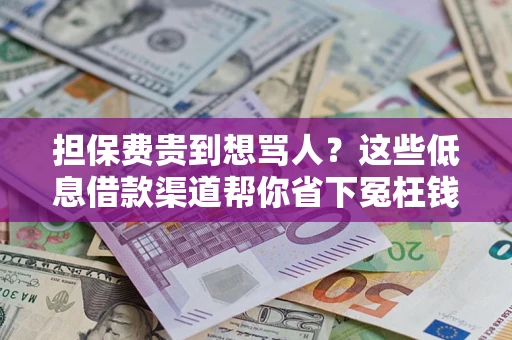 济南担保费贵到想骂人？这些低息借款渠道帮你省下冤枉钱