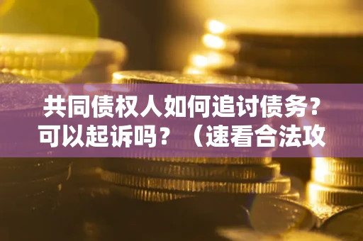 济南共同债权人如何追讨债务？可以起诉吗？（速看合法攻略）