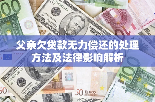 济南父亲欠贷款无力偿还的处理方法及法律影响解析
